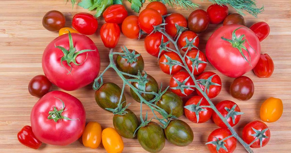 Najzastupljenije vrste rajčice